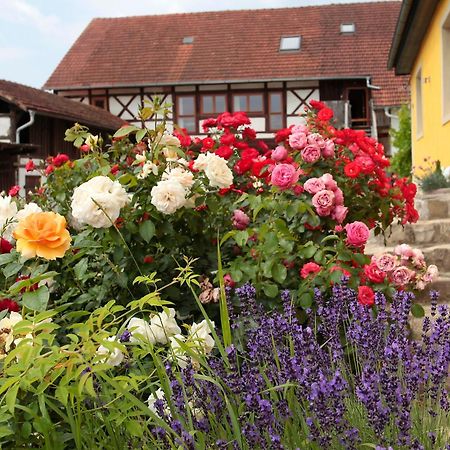 Studioapartment Mit Wohlfuehlcharakter Литцендорф Экстерьер фото