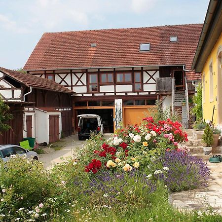 Studioapartment Mit Wohlfuehlcharakter Литцендорф Экстерьер фото